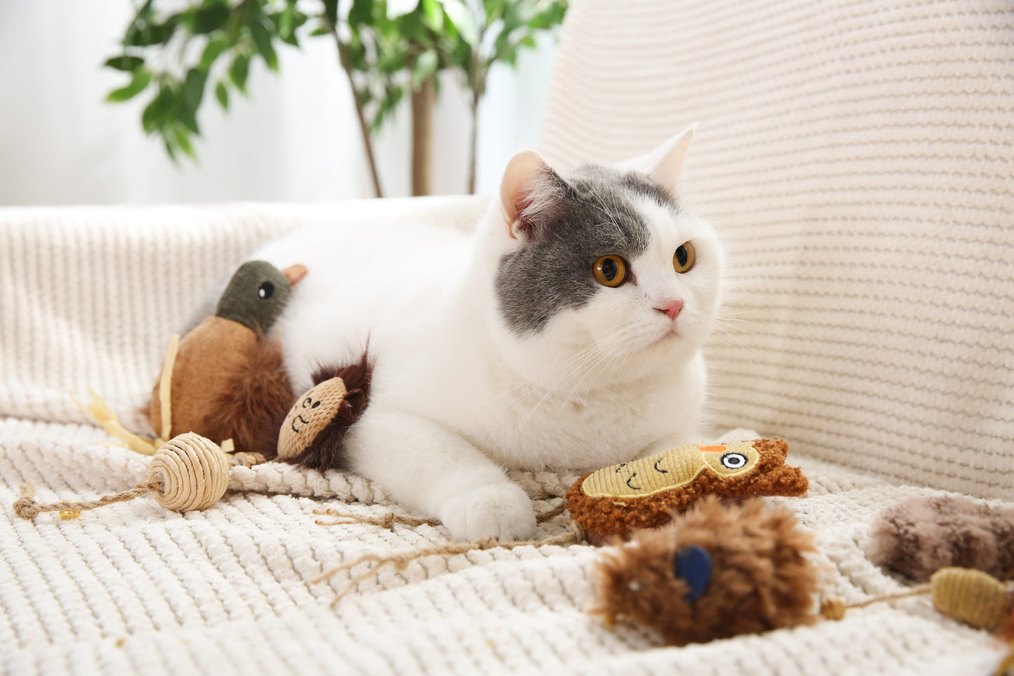 Interactive Catnip Toy Set – Plush Mouse & Ball - مجموعة ألعاب قطط بالنعناع البري – فأر قماشي وكرة